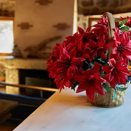 A Escasa Distancia De Avila By Alterhome *